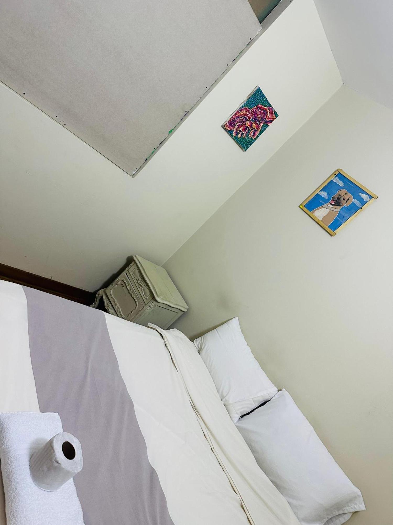 Hostel Colores Miraflores Lima Ngoại thất bức ảnh